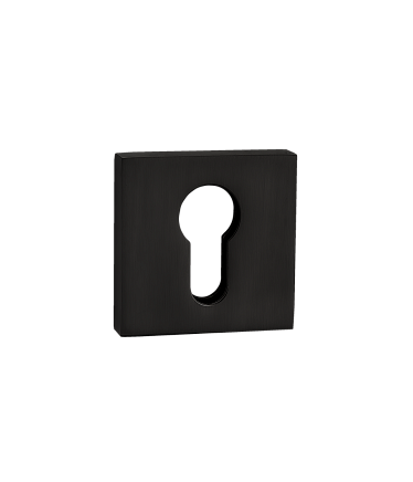 Накладки на ключевой цилиндр Накладка под цилиндр RENZ ET 03 B 